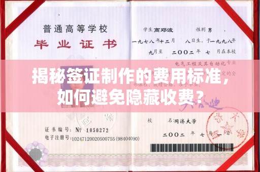 龙文揭秘签证制作的费用标准，如何避免隐藏收费？