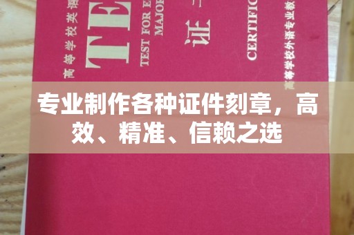 龙文专业制作各种证件刻章，高效、精准、信赖之选